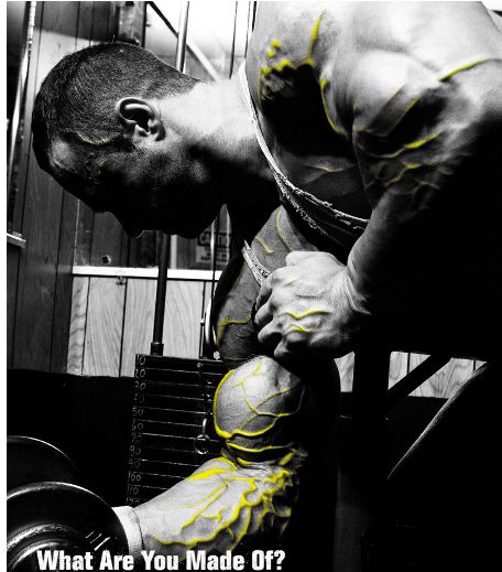 Muskelaufbau für den Trizeps