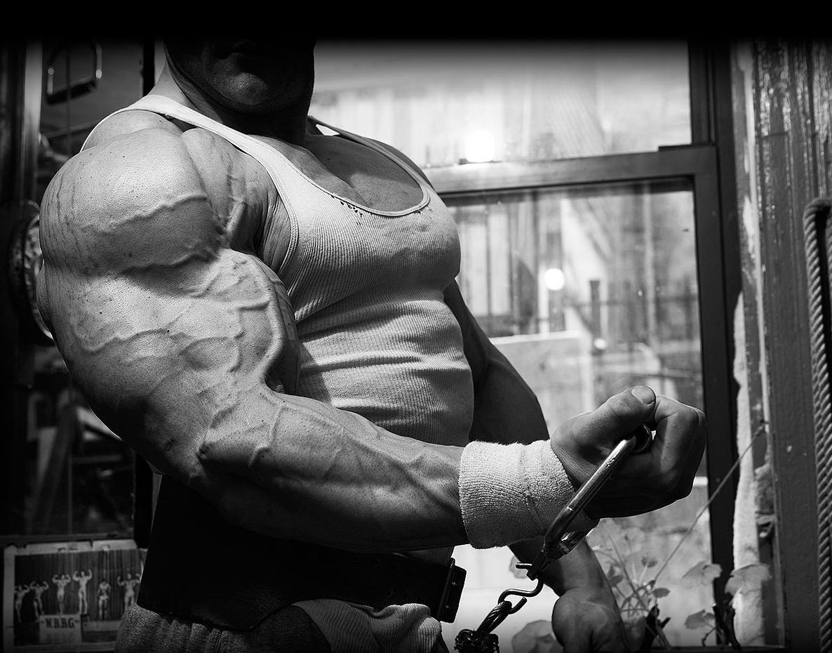 Optimale Sporternährung als Ergänzung zum Armtraining